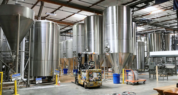 Knee Deep Brewing Co.