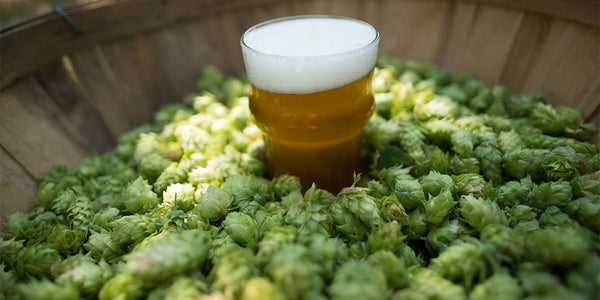 IPA