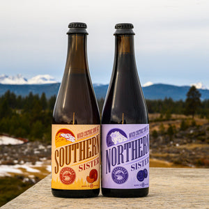 Deschutes Northern & Southern Sisters