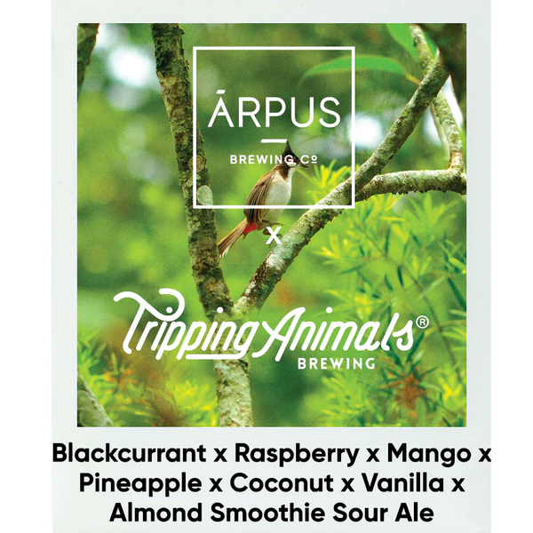 Blackcurrant X Raspberry X Mango X Smoothie Sour Ale