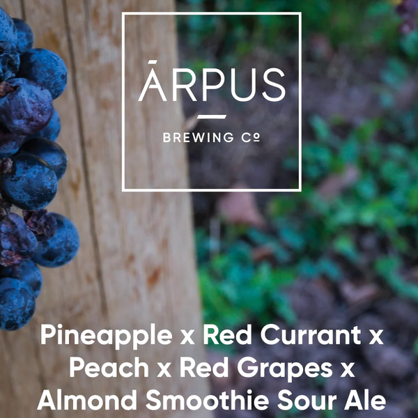 Pineapple x Red Currant x Peach x Red Grapes x Almond Smoothie Sour Ale